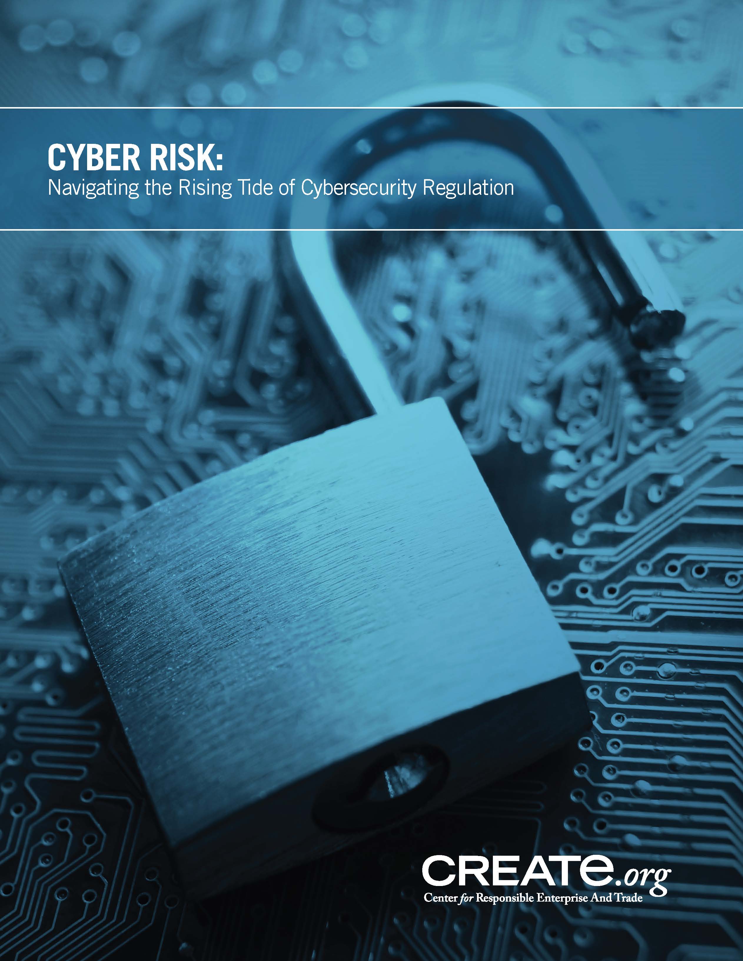 Launches Whitepaper Focused on “Cyber Risk Navigating the